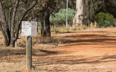 Moora Walk Trails: Carnaby Cockatoo Interpretive Walk