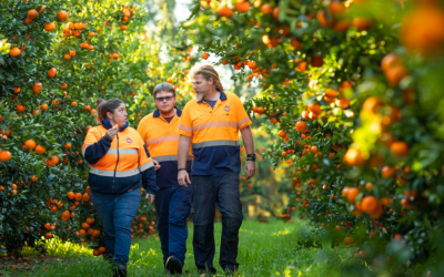 Moora Citrus