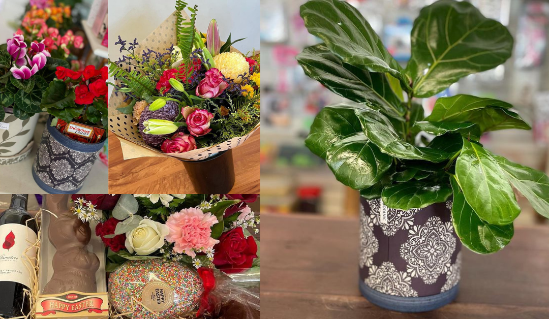 Boxes & Bouquets Florist & Party Supplies