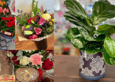 Boxes & Bouquets Florist & Party Supplies